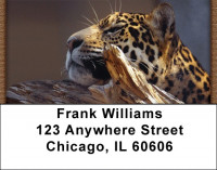 Leopard Watch Address Labels | LBQBC-96