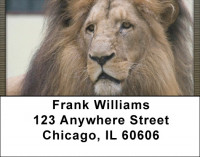 Lion eyes Address Labels | LBQBC-97