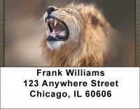 Lion eyes Address Labels | LBQBC-97