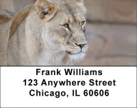 Lions King Of The Jungle Address Labels | LBQBC-98
