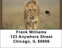 Lions Up Close Address Labels | LBQBC-99