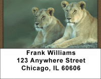 Lions Up Close Address Labels | LBQBC-99