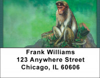 Solitude Address Labels | LBQBD-04