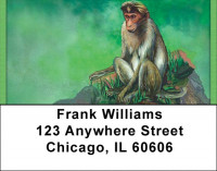 Solitude Address Labels | LBQBD-04