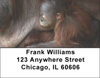 Go Ape Address Labels | LBQBD-05