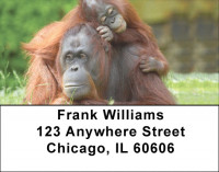Go Ape Address Labels | LBQBD-05