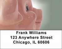 Pig Out Address Labels | LBQBD-09
