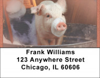 Pigs In A Tub Address Labels | LBQBD-10