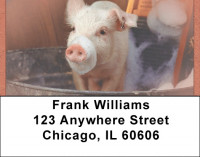 Pigs In A Tub Address Labels | LBQBD-10
