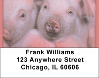 This Little Piggy Address Labels | LBQBD-11