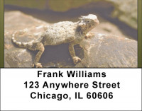 Horned Toad Address Labels | LBQBD-16