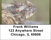 Horned Toad Address Labels | LBQBD-16