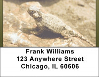 Horned Toad Address Labels | LBQBD-16