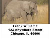 In The Wild Address Labels | LBQBD-21