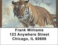 In The Wild Address Labels | LBQBD-21
