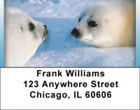 Baby Seals Address Labels | LBQBD-28