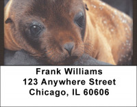 Chill Out  Address Labels | LBQBD-29