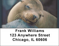 Chill Out  Address Labels | LBQBD-29