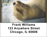 Chill Out  Address Labels | LBQBD-29