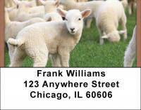 Grazing Sheep Address Labels | LBQBD-33