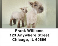 Little Lambs Address Labels | LBQBD-34