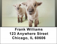 Little Lambs Address Labels | LBQBD-34