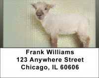 Little Lambs Address Labels | LBQBD-34