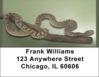Slithering Reptiles Address Labels | LBQBD-35