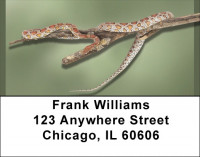 Slithering Reptiles Address Labels | LBQBD-35