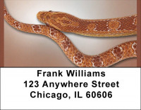 Snakes Address Labels | LBQBD-36