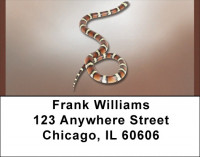 Snakes Address Labels | LBQBD-36
