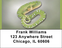 Snakes Address Labels | LBQBD-36