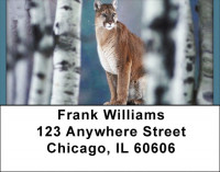 Cool Cats Address Labels | LBQBD-37
