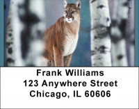 Cool Cats Address Labels | LBQBD-37