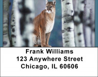 Cool Cats Address Labels | LBQBD-37