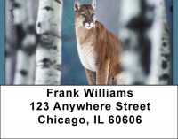 Cool Cats Address Labels | LBQBD-37