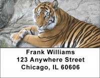 Tiger Portraits Address Labels | LBQBD-38