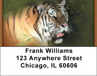 Wild As A Tiger Address Labels | LBQBD-39
