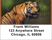 Wild As A Tiger Address Labels | LBQBD-39