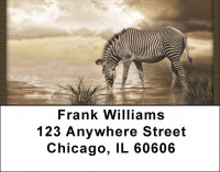 Zebra Fantasies Address Labels | LBQBD-46