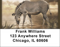 Zebra Fantasies Address Labels | LBQBD-46