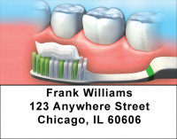 Dental Careers Address Labels | LBQBD-60