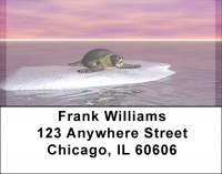 Sea Turles With Global Warming Address Labels | LBQBE-26