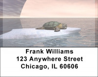 Sea Turles With Global Warming Address Labels | LBQBE-26
