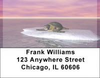 Sea Turles With Global Warming Address Labels | LBQBE-26
