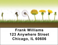 Life Cycles Address Labels | LBQBG-46