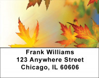 Blowing In The Wind Address Labels | LBQBG-49
