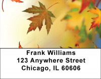 Blowing In The Wind Address Labels | LBQBG-49