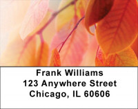Fall colors Address Labels | LBQBG-51