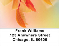 Fall colors Address Labels | LBQBG-51